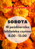 Biblioteka otwarta w sobotę 18 października 2025r.