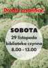 Biblioteka otwarta w sobotę 29 listopada 2025r.