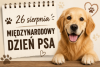 KARTKA Z KALENDARZA - Międzynarodowy Dzień Psa