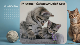 KARTKA Z KALENDARZA – 17 lutego Światowy Dzień Kota